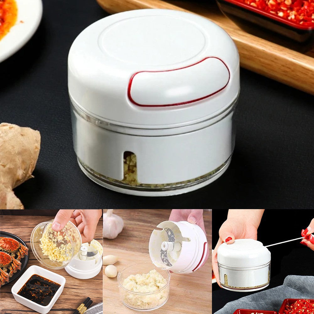 Mini Food Chopper